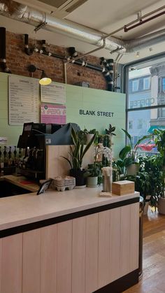 a coffee shop with lots of plants on the counter