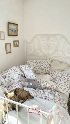 a dog laying on top of a bed next to a white headboard and pillows