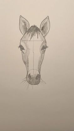 a pencil drawing of a horse's head on a white paper background, with the line drawn in front of it