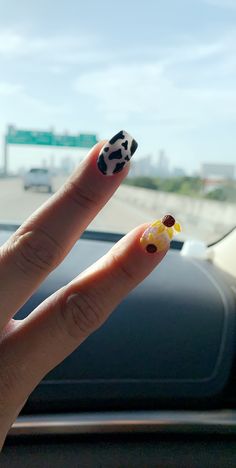 Cow Print With Sunflower Nails, Cow Print Coffin Acrylic Nails, Cow Sunflower Nails, Cow French Tip Nails Short, Cowprint Sunflower Nails, Western Sunflower Nails, Sunflower And Cow Nails, Sunflower And Cow Print Nails, Yeehaw Nails