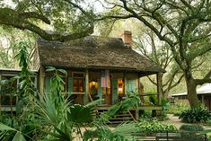 a small wooden house surrounded by lush green trees and plants in the foreground, with a bench to the side