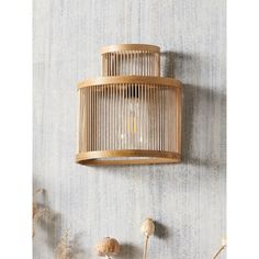 a wall light hanging on the side of a wall next to dried flowers and plants