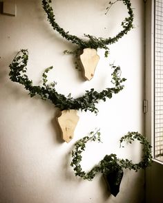 two pieces of wood with vines on them hanging from the side of a white wall