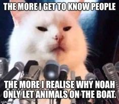 a white cat sitting in front of microphones with caption that reads, the more i get to know people the more i raise why noah only let animals on the boat