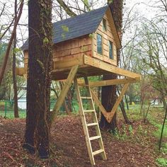 a tree house built into the side of a tree