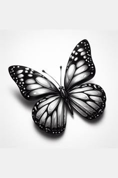 a black and white photo of a butterfly