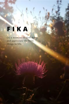 Fika Time To Slow Down Quotes, Slow Living Aesthetic Wallpaper, Quotes Slow Down, Taking Things Slow Quotes, Slowing Down Aesthetic, Slowing Down Quotes, Slow Down Wallpaper, Circle Of Life Quotes, Fika Aesthetic