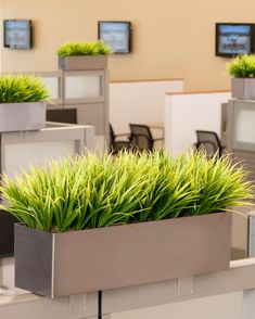 an office cubicle with two planters on the desks and three computers in the background