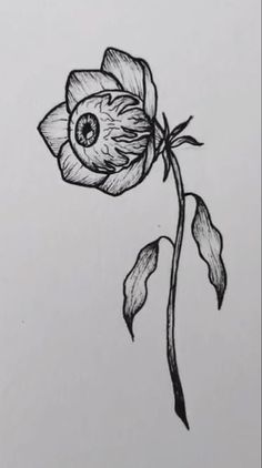 Eye Ball Tattoo Design, Tattoo Doodle Ideas, Goblin Core Tattoo, Cool Art Drawings Sketches, Sketch Style Tattoo, Small Flower Drawings, Tattoo Drawing Ideas, Inked Sketch, Black And White Tattoos