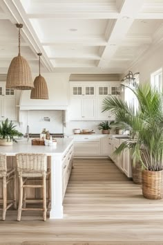 a large kitchen with white cabinets and wooden flooring, along with two planters on the island