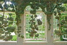 there are many windows that have plants growing on them