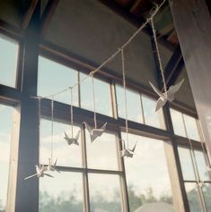 some paper birds are hanging in front of a window