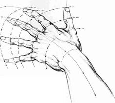 a drawing of a hand holding something in it's right hand with lines drawn across the palm