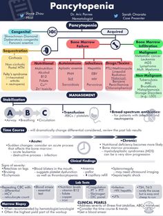 the anatomy of pancytopenia and how it is used to describe them