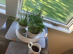 there are two plants in the potted planter on the table next to the window