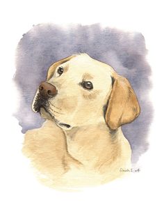 a watercolor painting of a dog's face