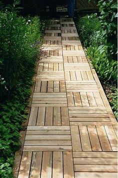 a wooden walkway surrounded by green plants and trees