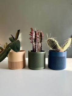 three potted plants sitting next to each other on a white counter top in front of a gray wall