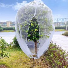 a tree that has been wrapped in plastic and is sitting on the ground next to some bushes