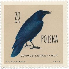 a postage stamp with a blue bird on it's front and the words polska written in russian