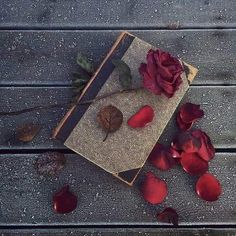 an open book with red roses on top of it sitting on a wooden table next to leaves