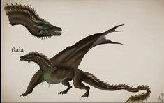 Not my oc Wyvern Art, Dragon Face, Cool Dragons