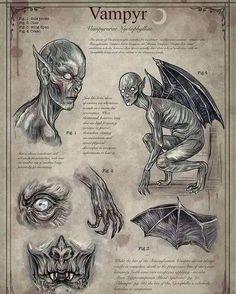 an old poster with some creepy things on it's back side and the words vampire written