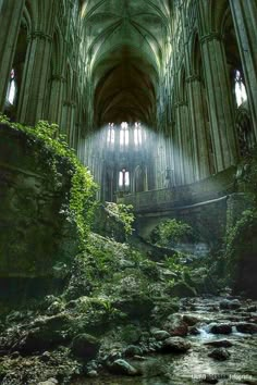 the inside of an old cathedral with sunlight streaming in through the windows and moss growing on the ground