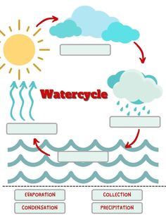 water cycle diagram with the words water cycle