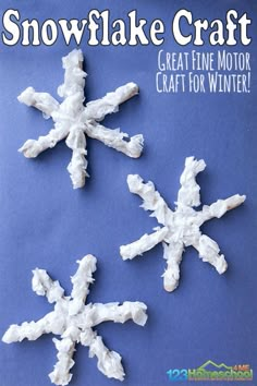 two snowflake crafts are shown on a blue background with the words, great fine motor craft for winter