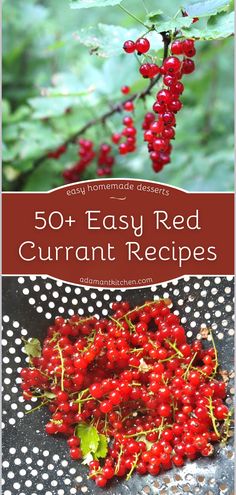 red currans with green leaves and the words, 50 + easy red curran recipes