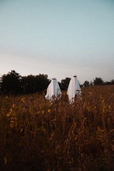 two people in white cloths walking through tall grass