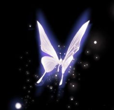 a white butterfly flying through the air on a black background with stars and lights around it