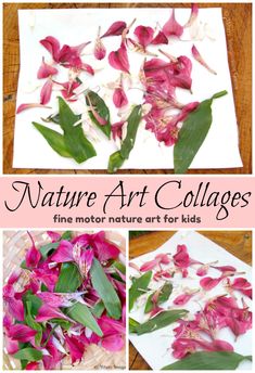 some pink flowers and green leaves on top of a white paper sheet with the words nature art collages