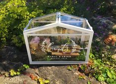 a glass box sitting on top of a rock next to plants and flowers in the background