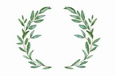 a wreath made out of green leaves on a white background