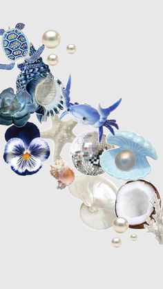 an assortment of seashells, pearls and other sea creatures on a white background