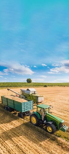 a tractor pulling a trailer full of hay in the middle of a wheat field under a blue sky