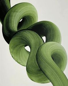 an abstract painting with green and black swirls in the center on a white background