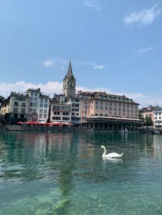 a white swan floating on top of a body of water next to a tall building