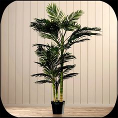 a potted plant sitting on top of a wooden table next to a white wall