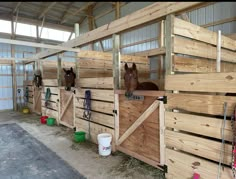 several horses are standing in their stalls at the stable