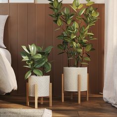 two potted plants sitting next to each other on top of a wooden floor near a bed