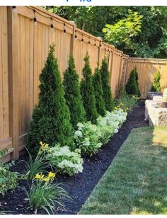 an outdoor garden with trees and shrubs in it, along side a fenced area