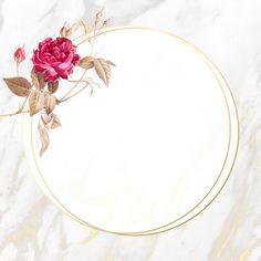 a white marble background with a gold circle frame and pink roses on it's side