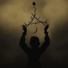 the silhouette of a person holding up a tree branch