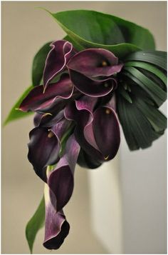 purple flowers in a white vase with green leaves