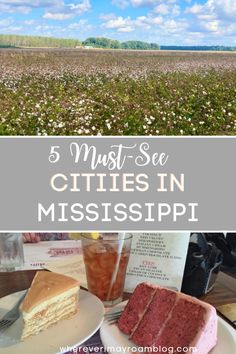 the mississippi river with text overlay that reads 5 must see cities in mississpii