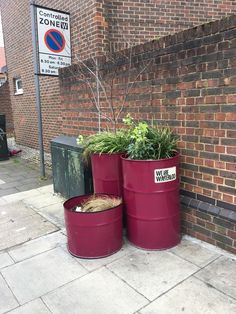 two large red barrels with plants in them sitting on the sidewalk next to a brick wall