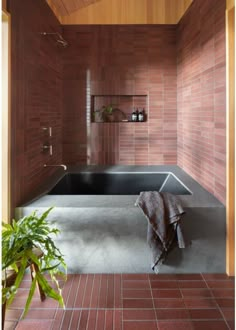 a bath tub sitting inside of a bathroom next to a plant